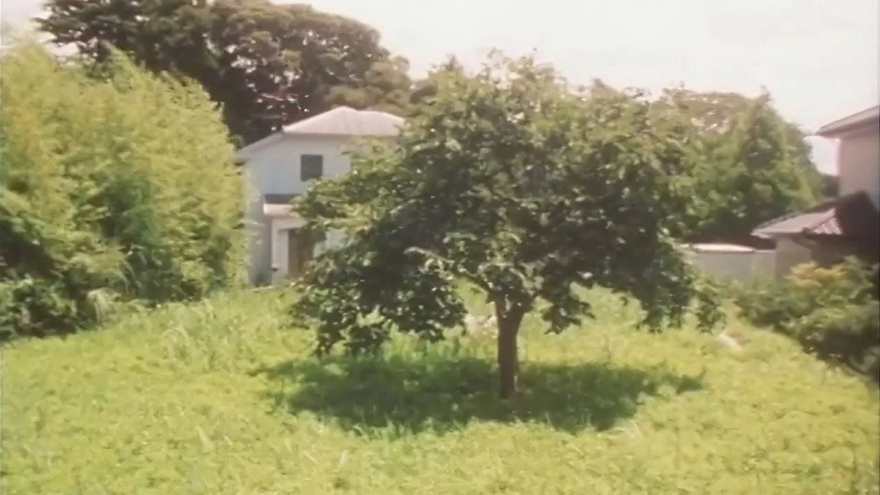 自我和他人 - 剧照