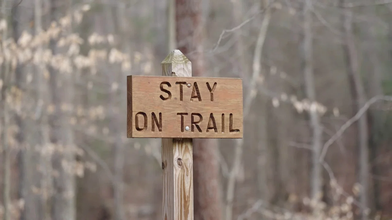 #17 - To Finish The Barkley Marathons - 剧照