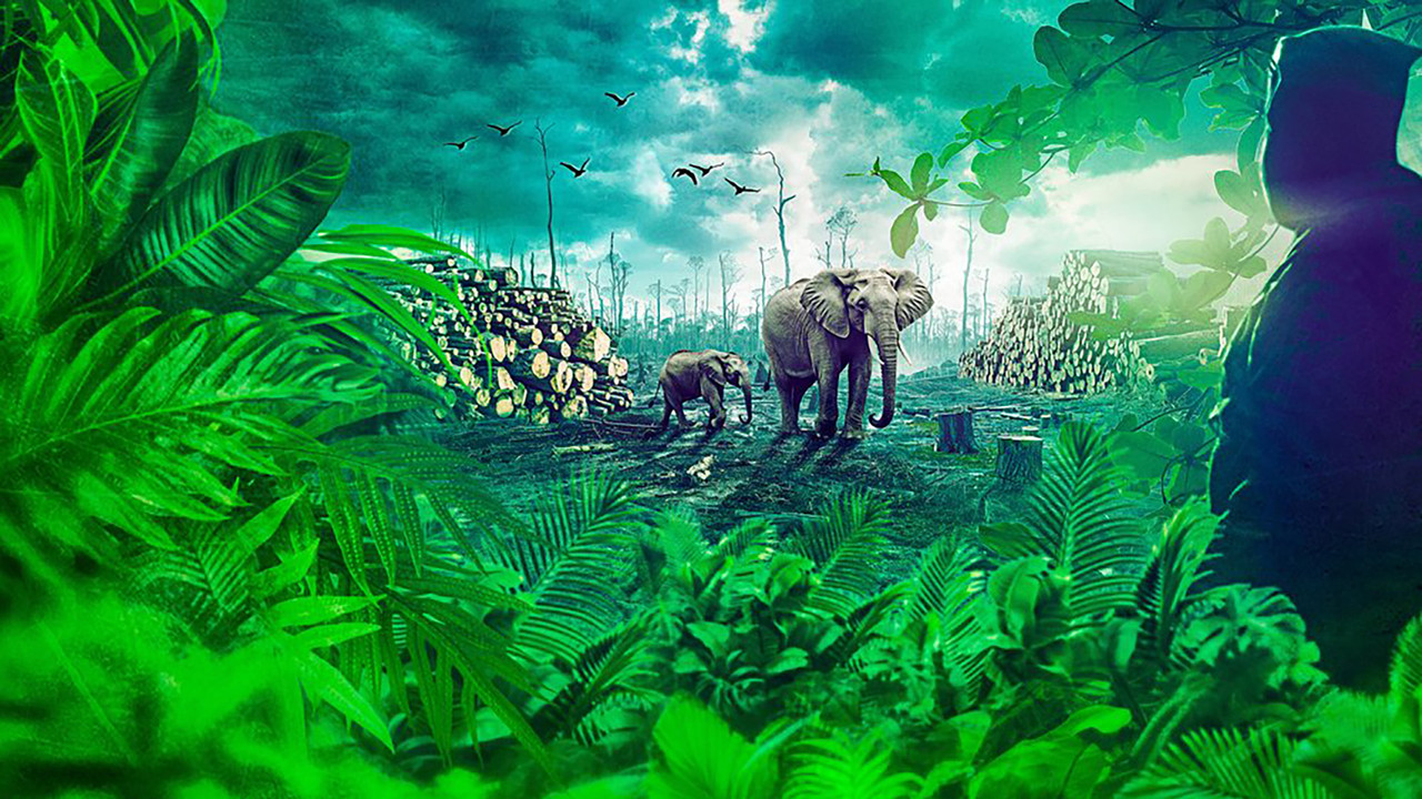Gabon: Earth's Last Chance - 剧照