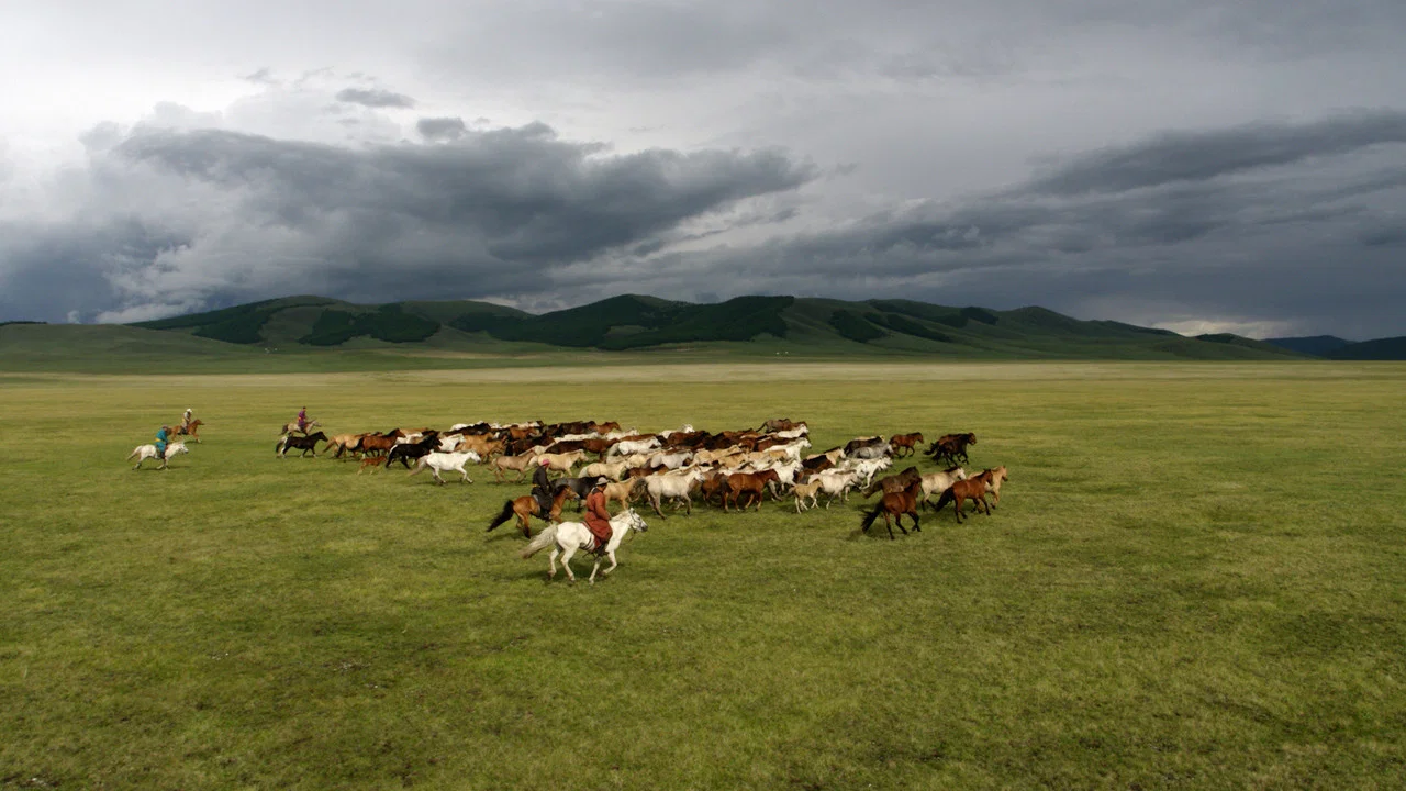 Le Cavalier mongol - 剧照