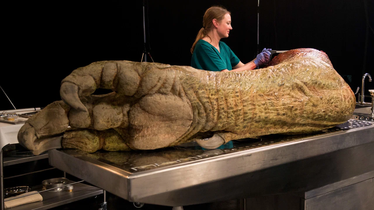 T. Rex Autopsy - 剧照