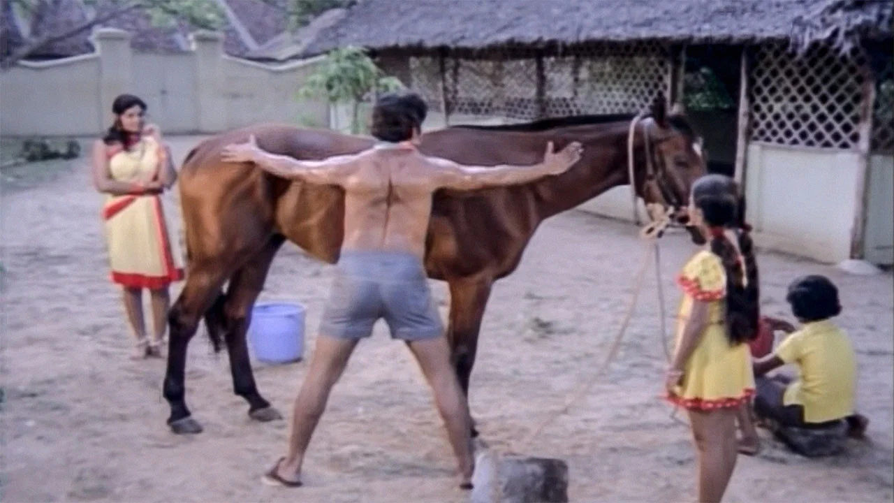 ശരപഞ്ജരം - 剧照