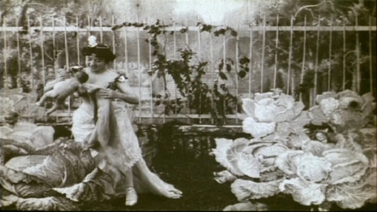 La f&eacute;e aux choux - 剧照
