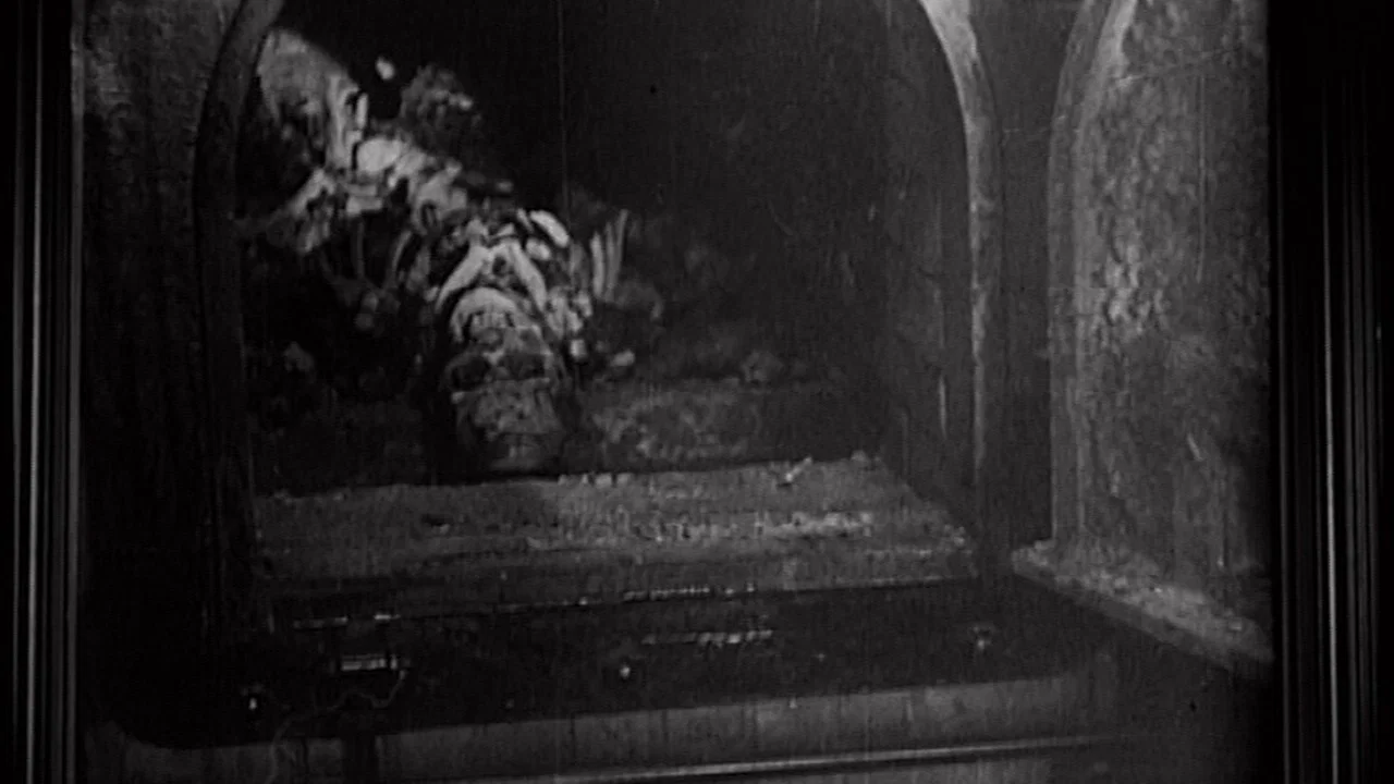 Imaginary Witness: Hollywood and the Holocaust - 剧照