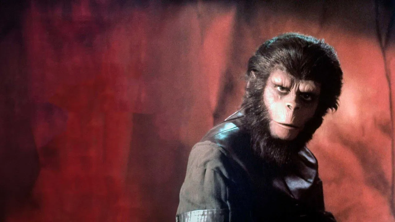 &laquo; La Plan&egrave;te des singes &raquo; : une odyss&eacute;e de l'esp&egrave;ce - 剧照