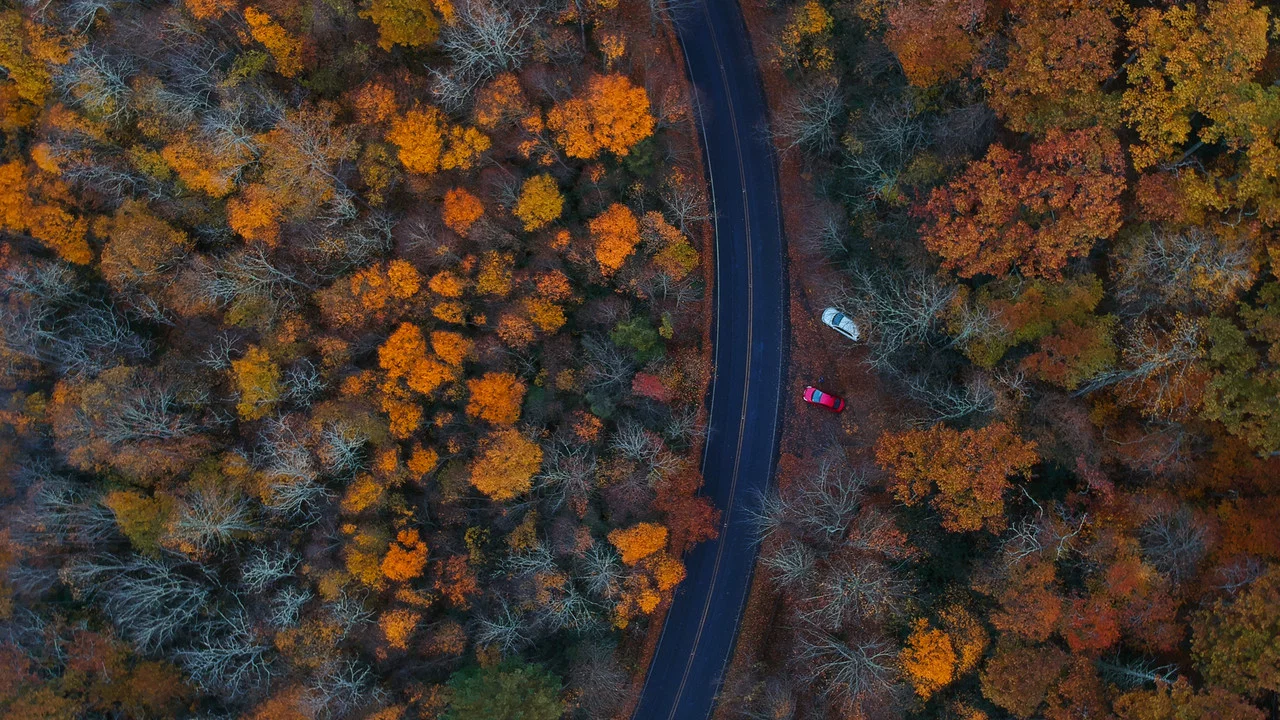Smoky Mountain Park Rangers - 剧照