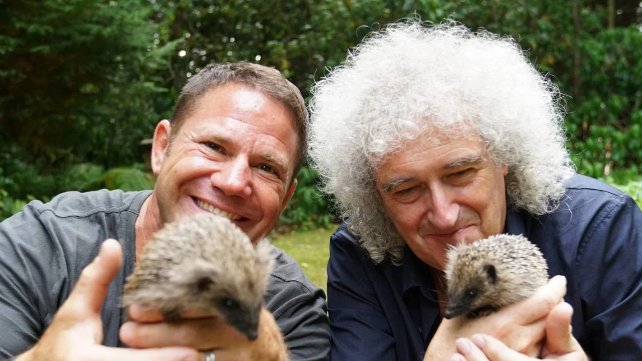 Meet the Hedgehogs - 剧照