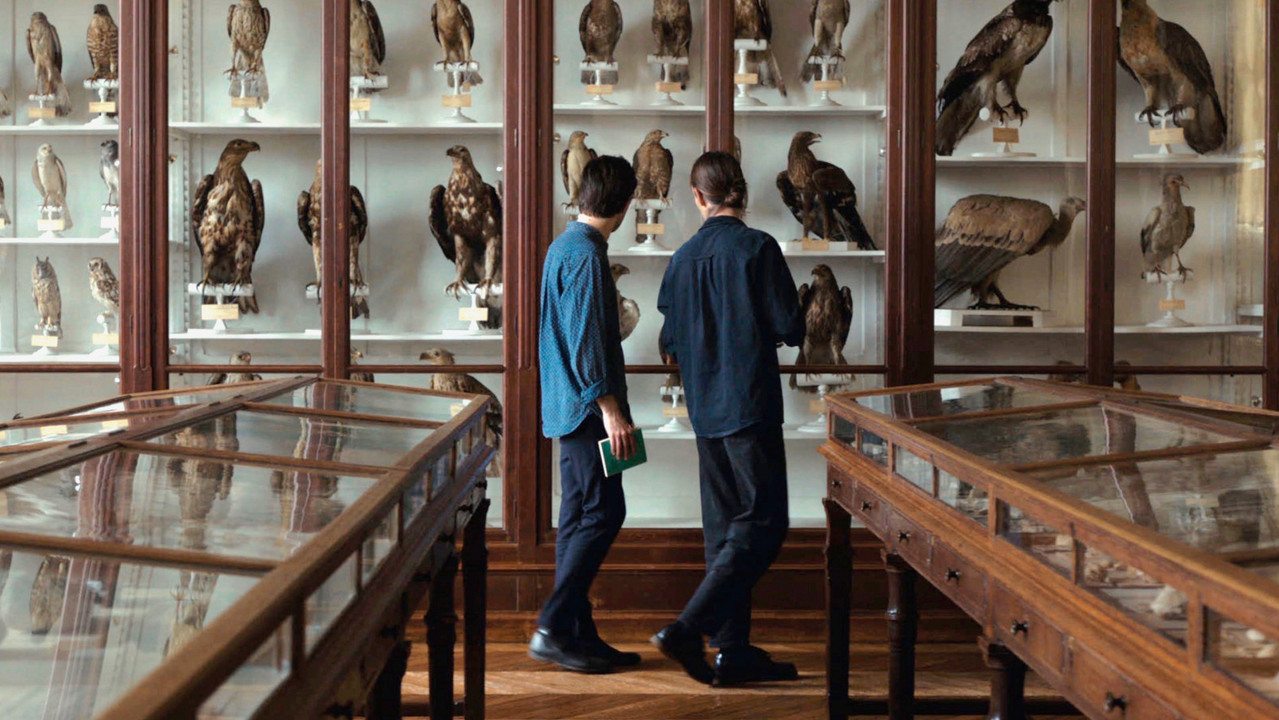 Langue des oiseaux - 剧照