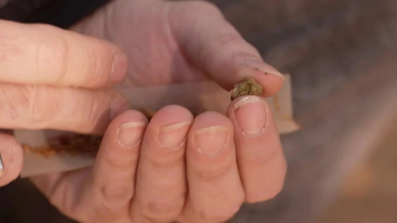Cannabis, un paradoxe fran&ccedil;ais - 剧照