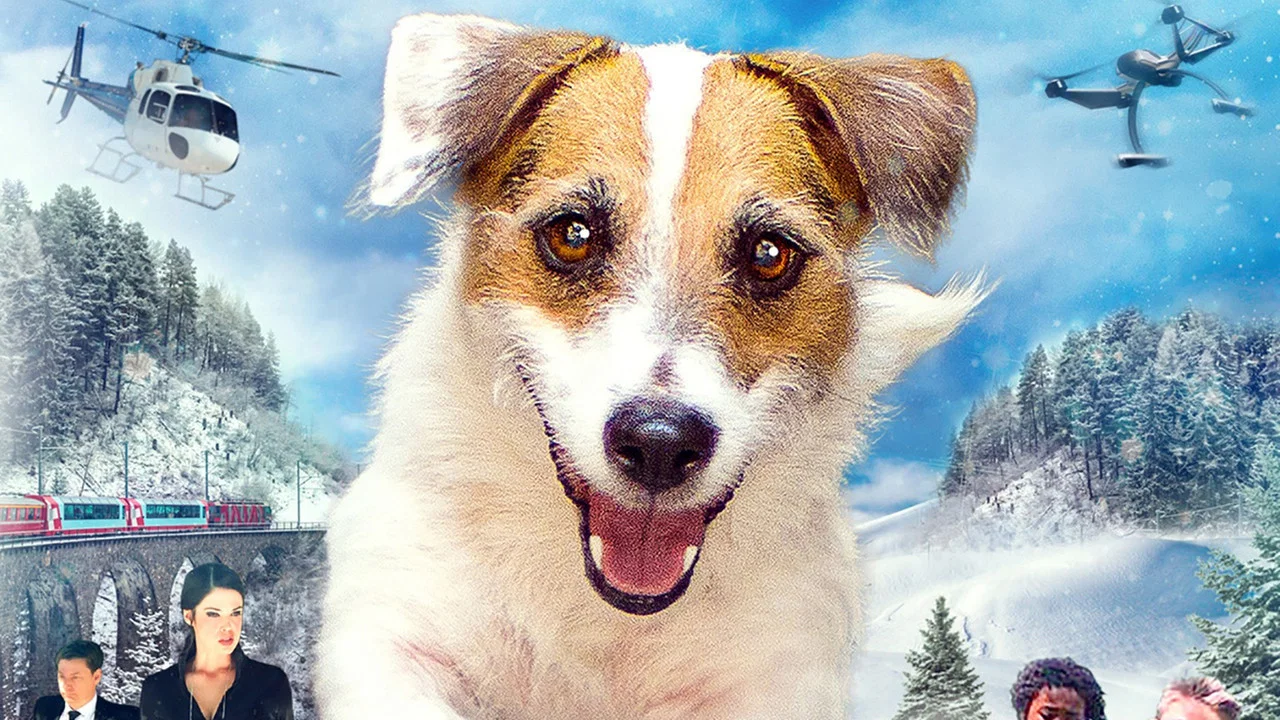 A Doggone Christmas - 剧照