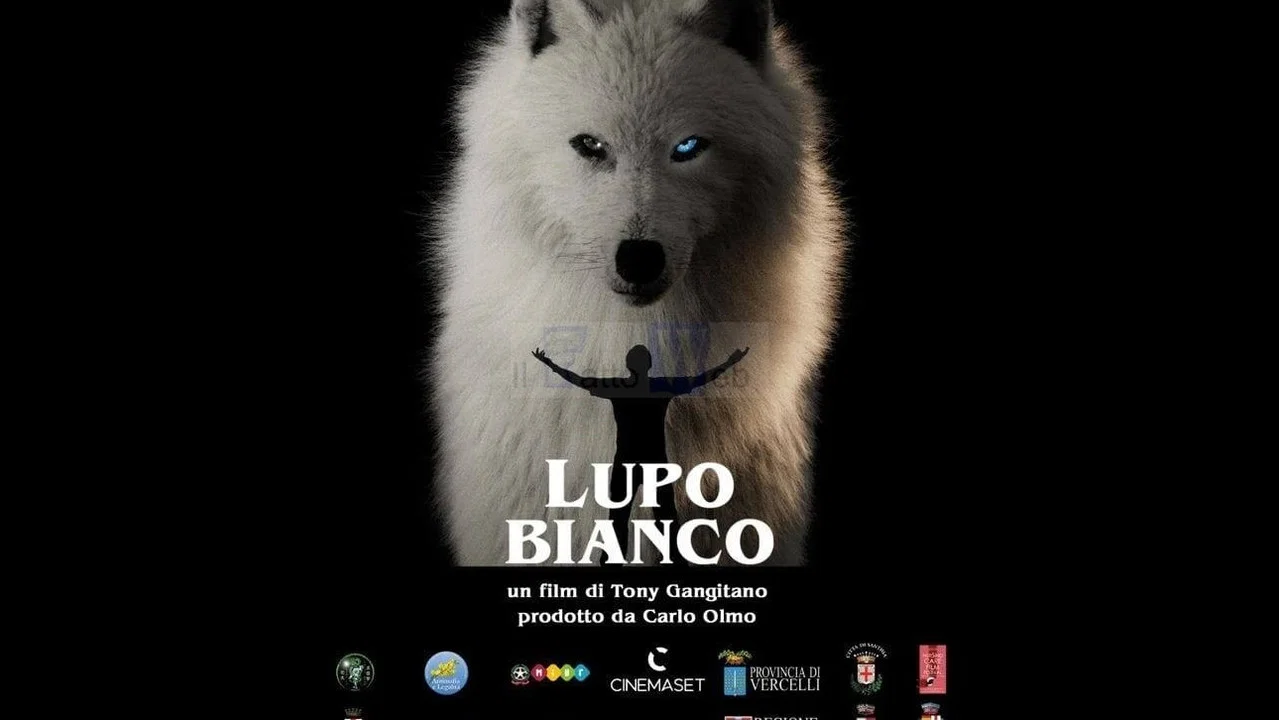 Lupo bianco - 剧照