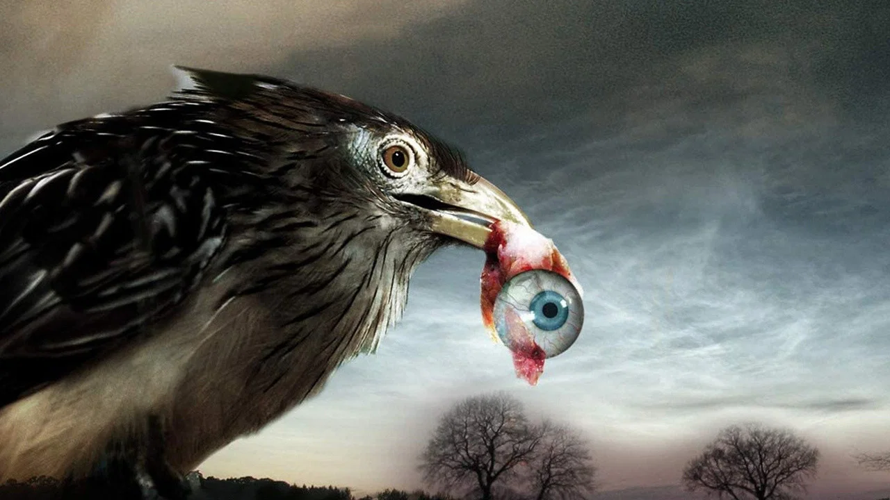 Flu Bird Horror - 剧照