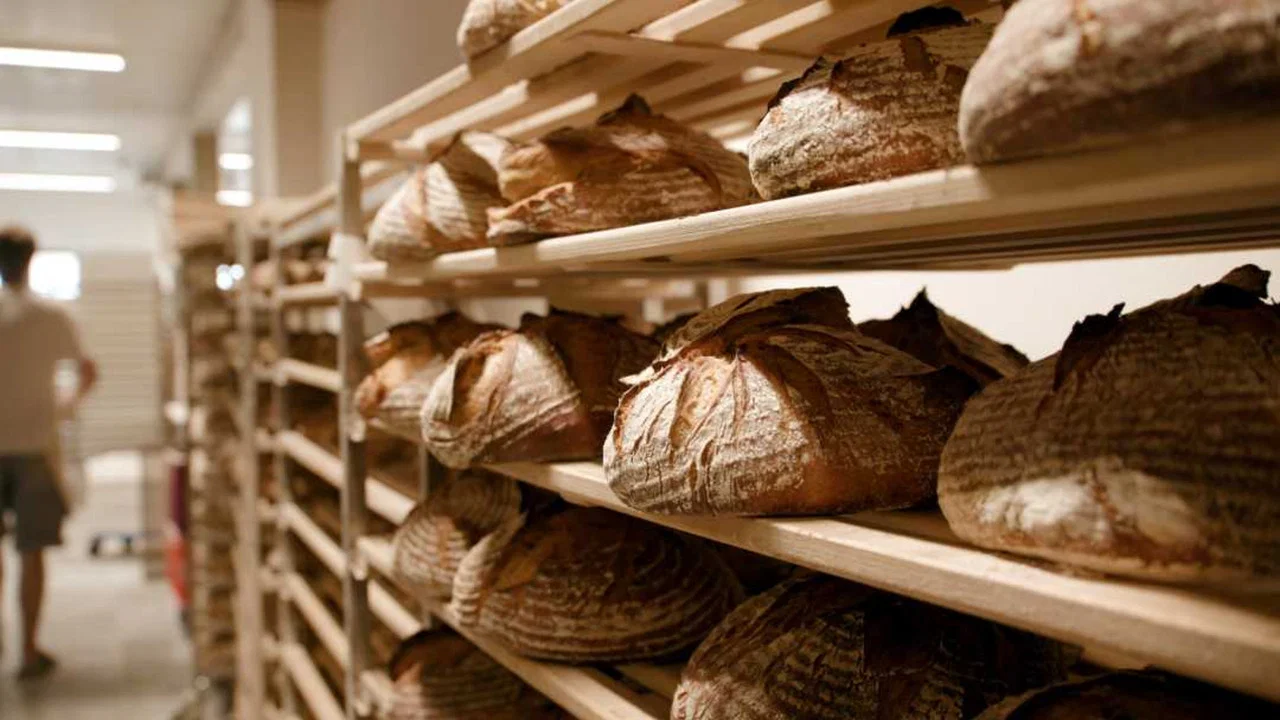 Brot - 剧照