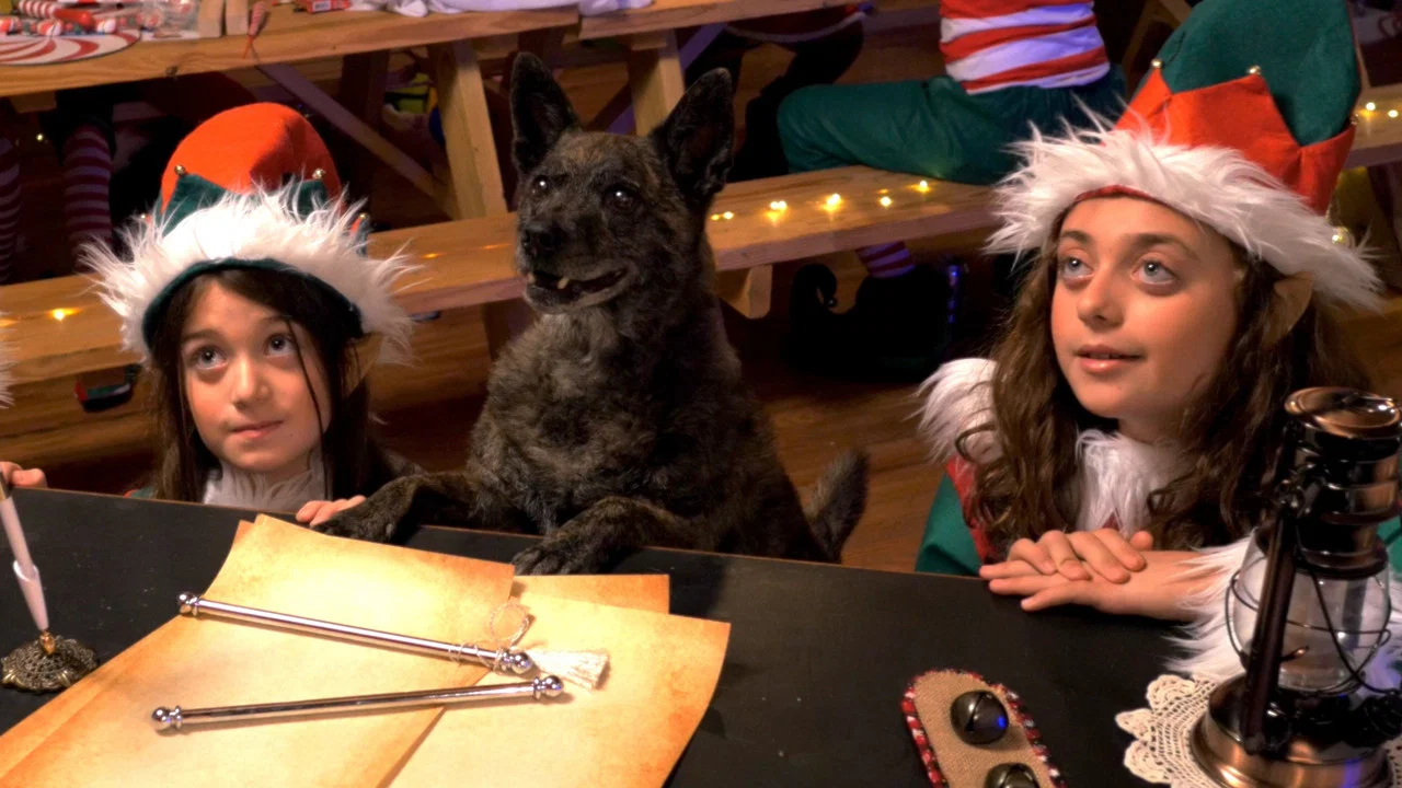 Santa Stole Our Dog: A Merry Doggone Christmas! - 剧照