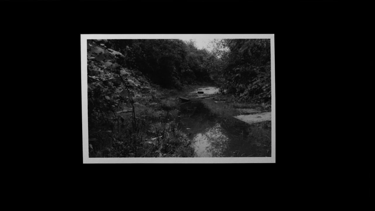 Grantham Overgrown (Infinite Regression) - 剧照
