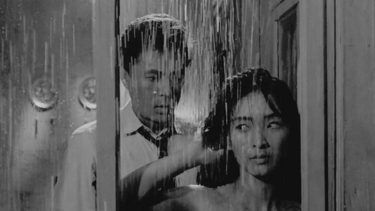下女 - 剧照