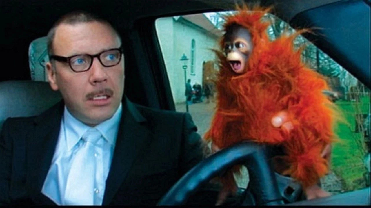 Bang Bang Orangutang - 剧照