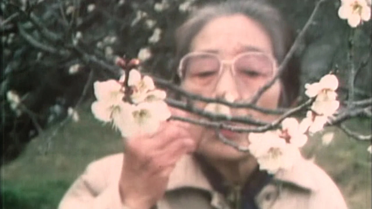 蜗牛 - 剧照