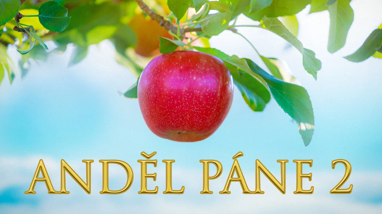 Anděl P&aacute;ně 2 - 剧照