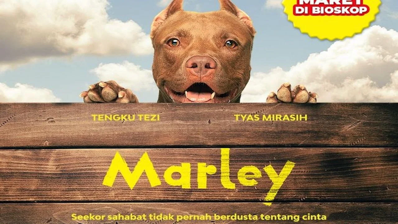 Marley - 剧照