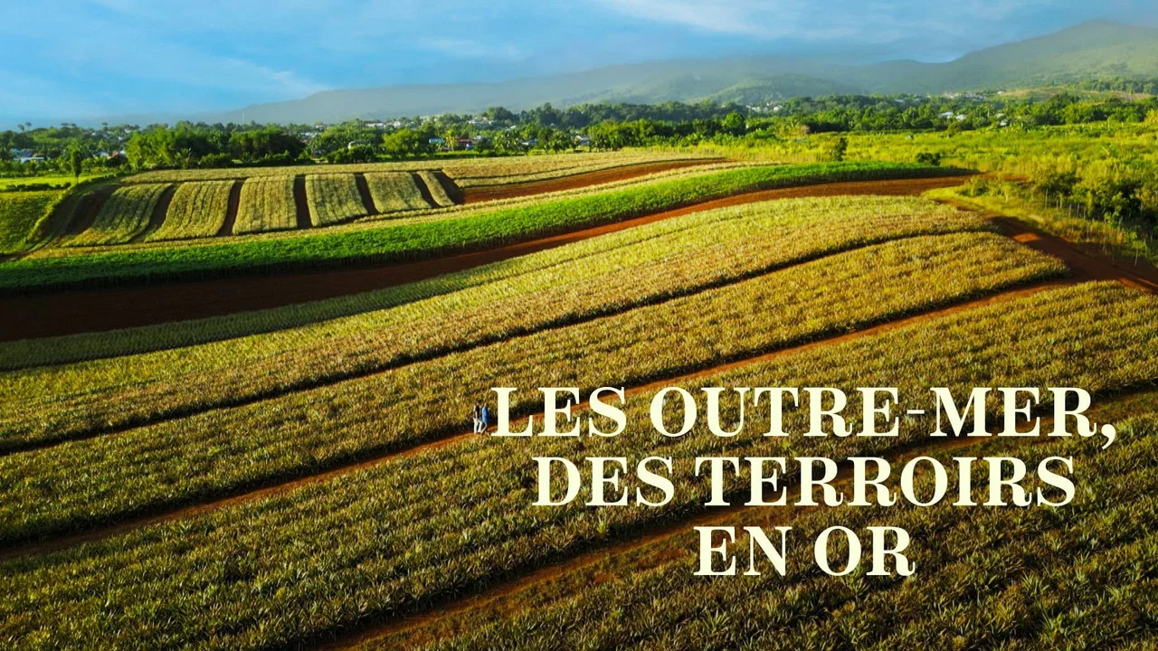 Les Outre-mer, des terroirs en or - 剧照