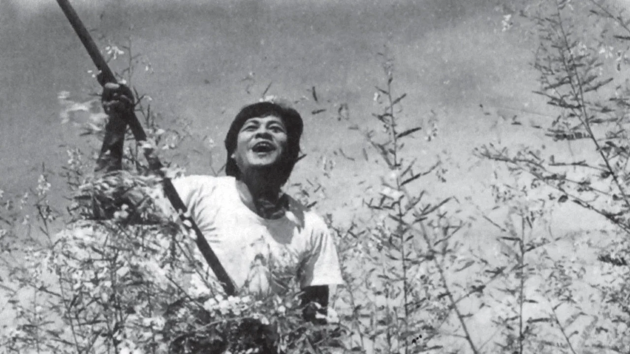 C&aacute;nh đồng hoang - 剧照
