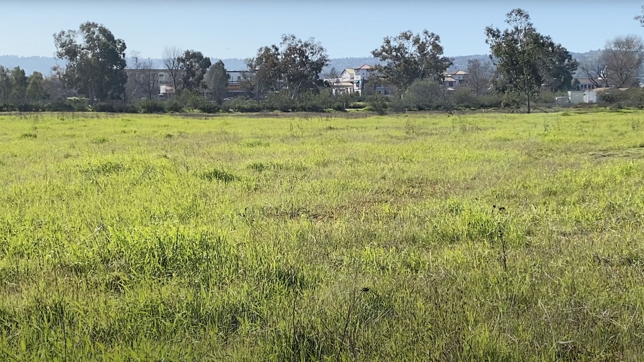Madrona Marsh - 剧照