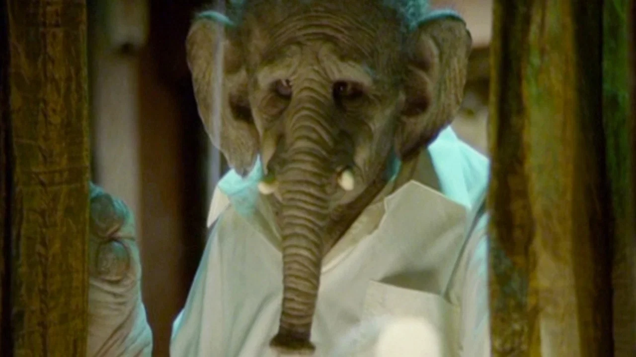 Elefante - 剧照