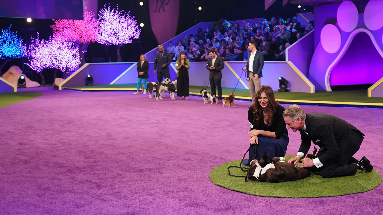 2022 American Rescue Dog Show - 剧照