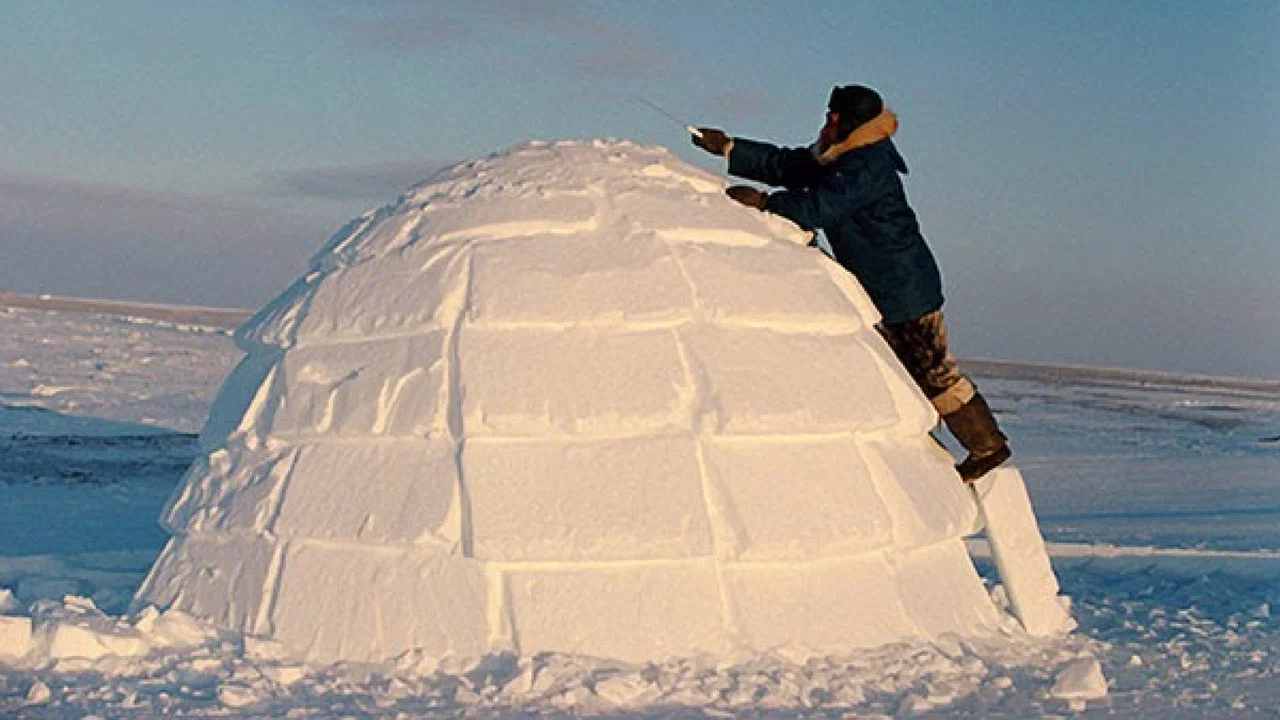 How to Build an Igloo - 剧照