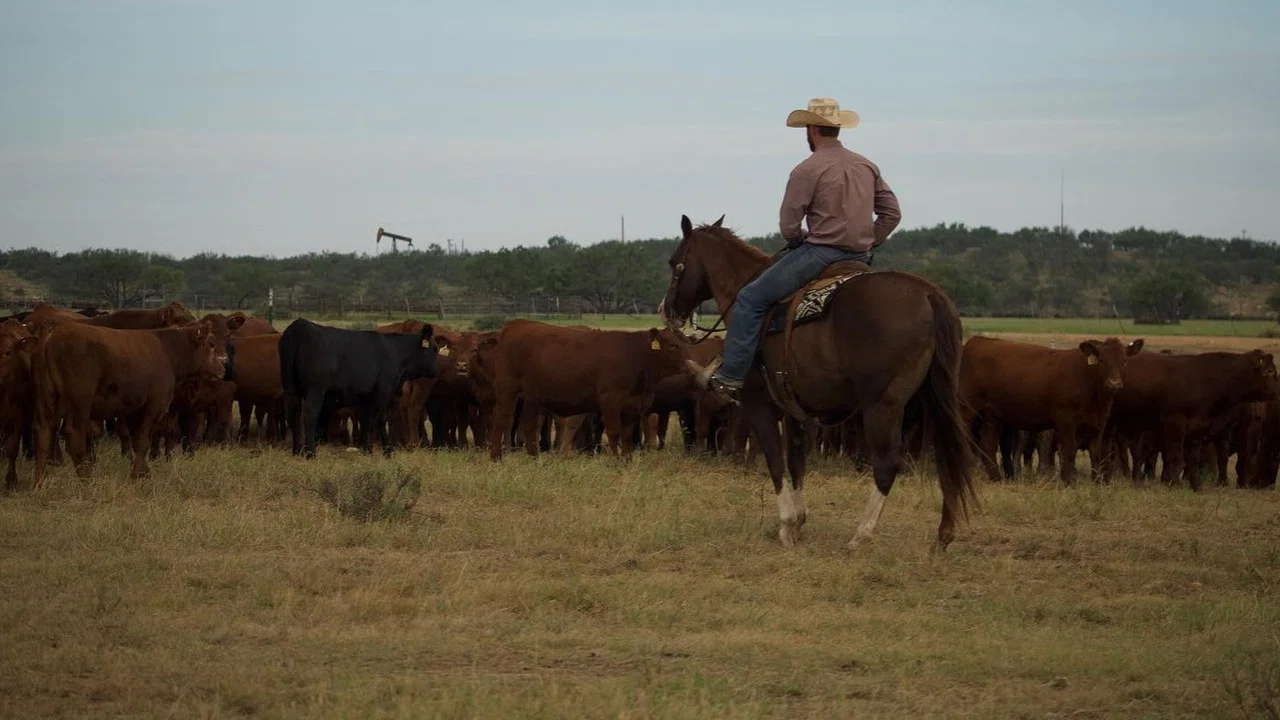 Cowboys Without Borders - 剧照