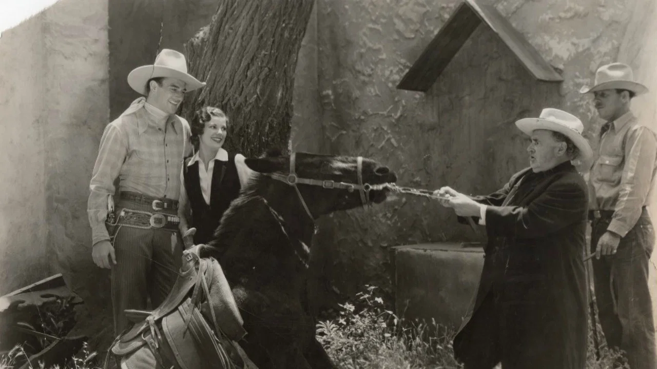 Ride Him, Cowboy - 剧照