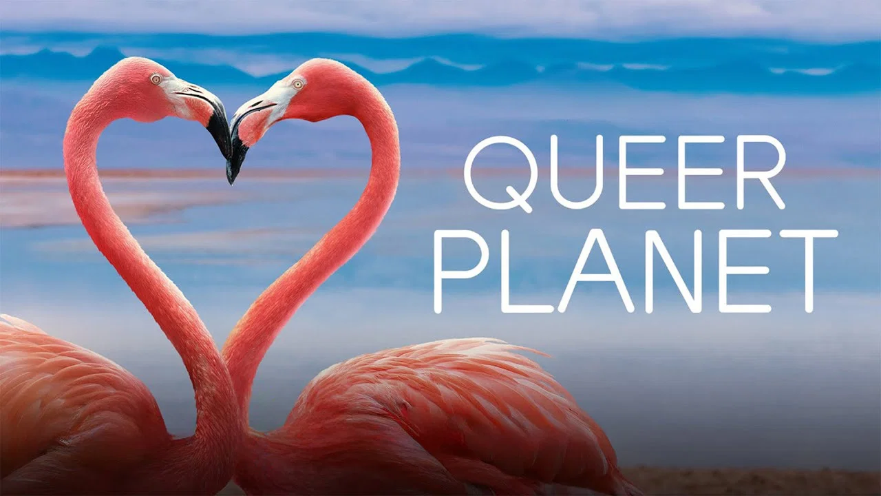 Queer Planet - 剧照