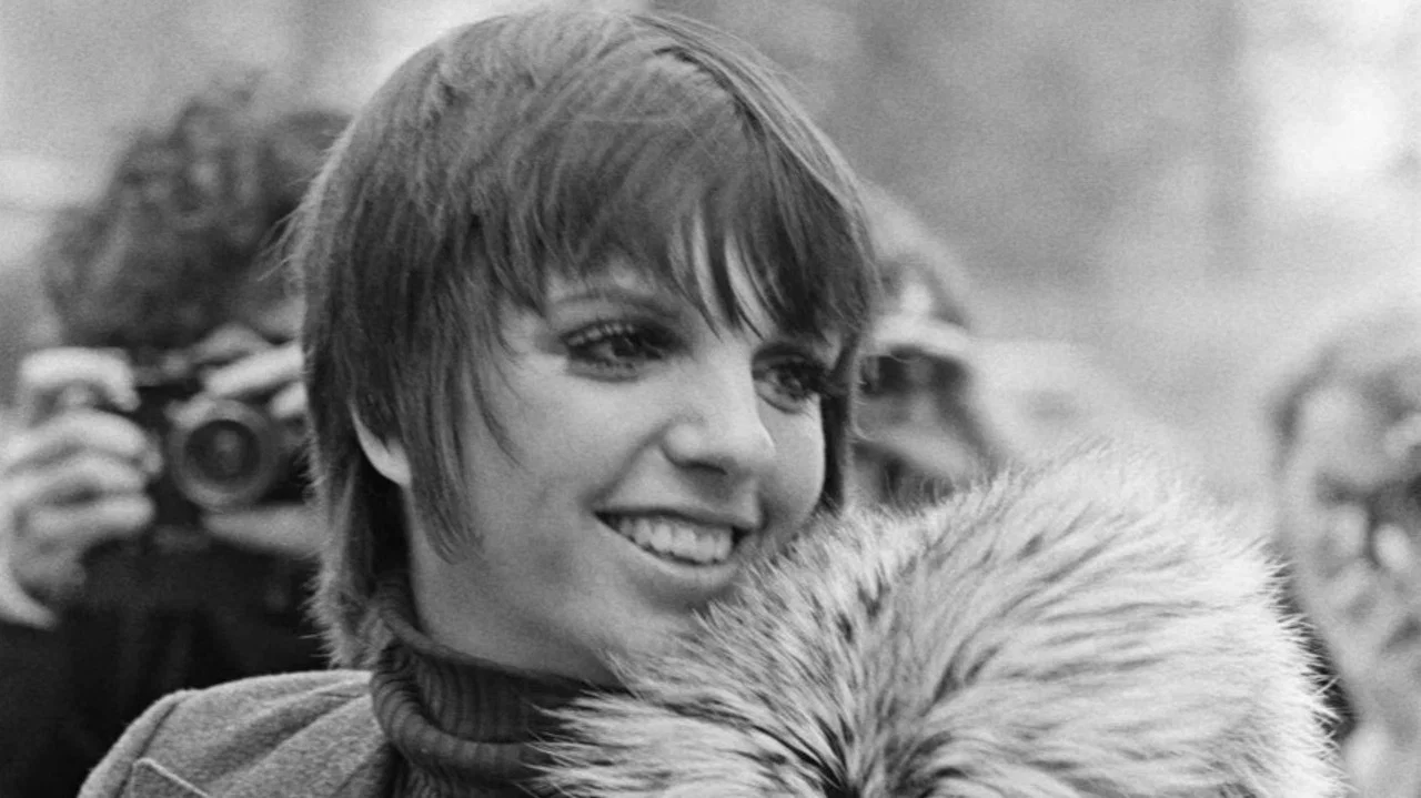Liza Minnelli, la derni&egrave;re h&eacute;riti&egrave;re d'Hollywood - 剧照