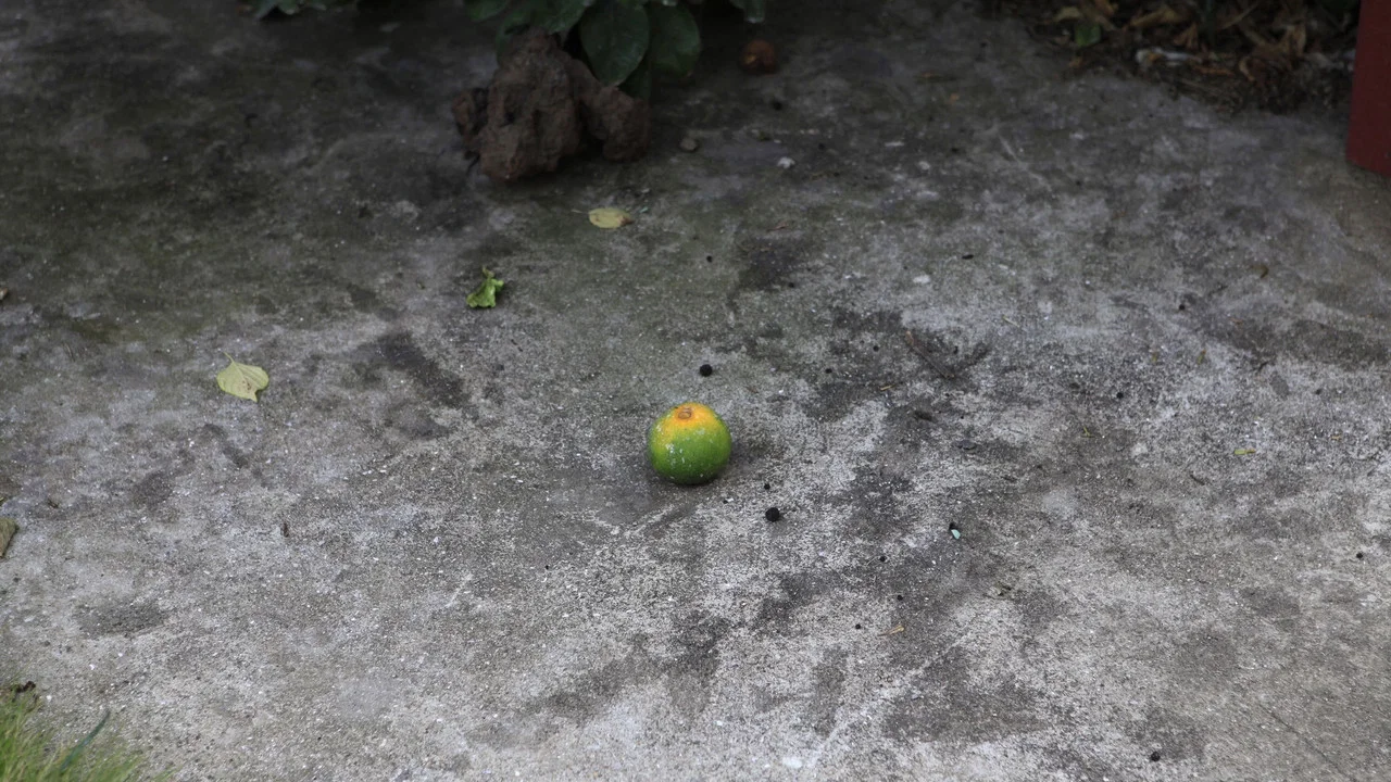 비념 - 剧照