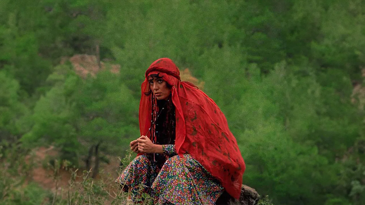 Selvi Boylum Al Yazmalım - 剧照
