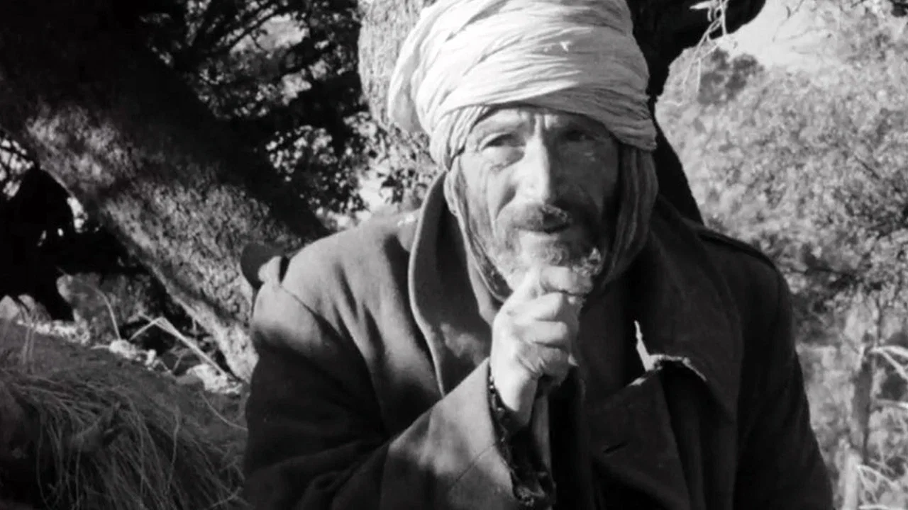 Alg&eacute;rie, ann&eacute;e z&eacute;ro - 剧照