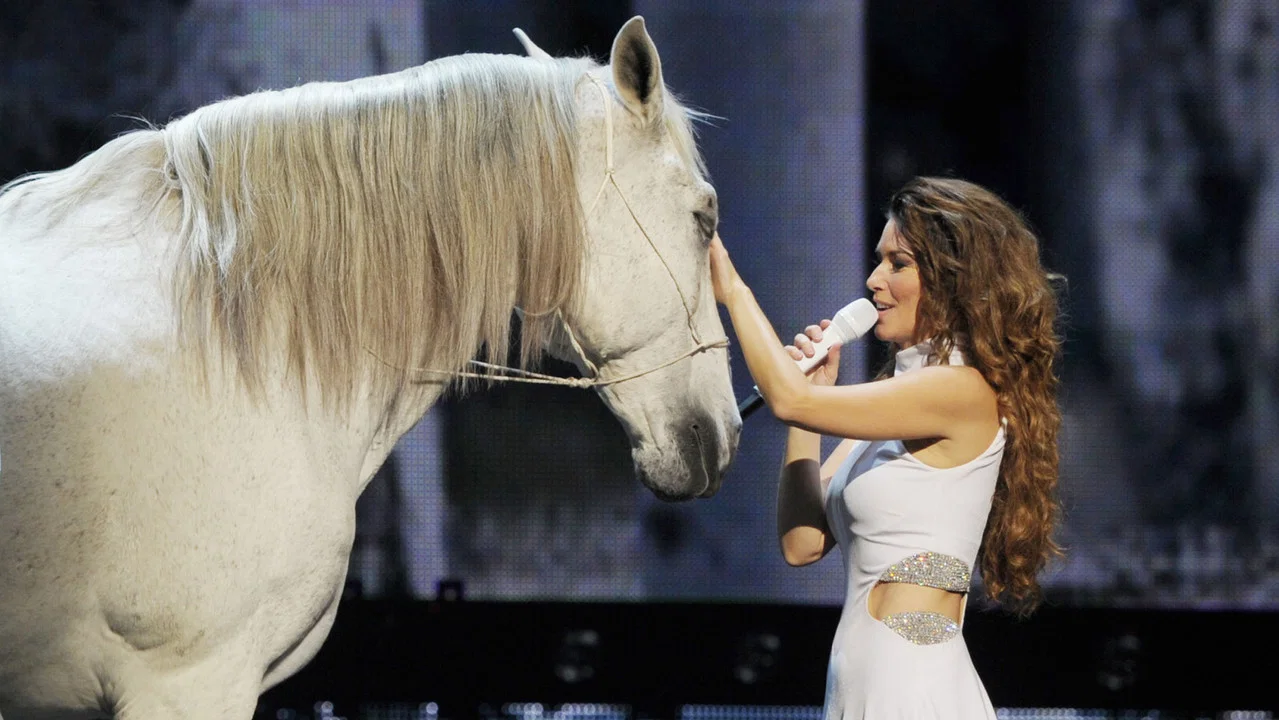 Shania: Still the One - Live from Vegas - 剧照