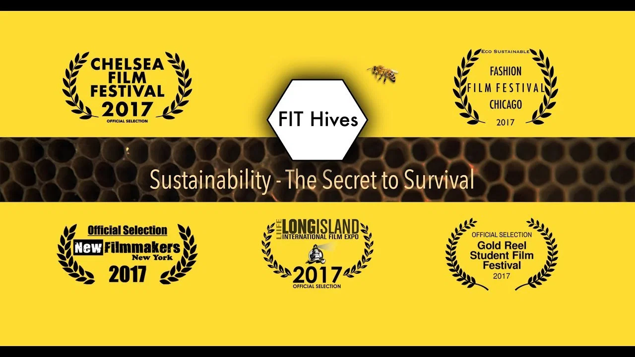 FIT Hives: Sustainability - The Secret to Survival - 剧照