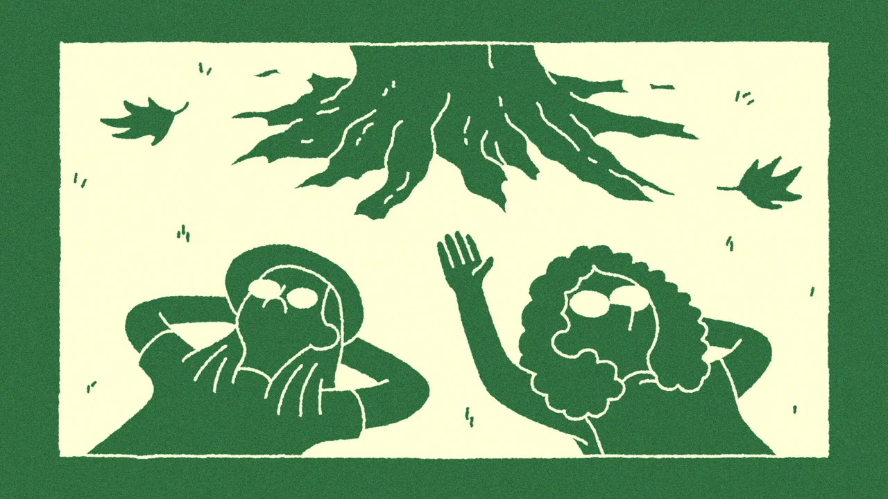 The Sycamore - 剧照
