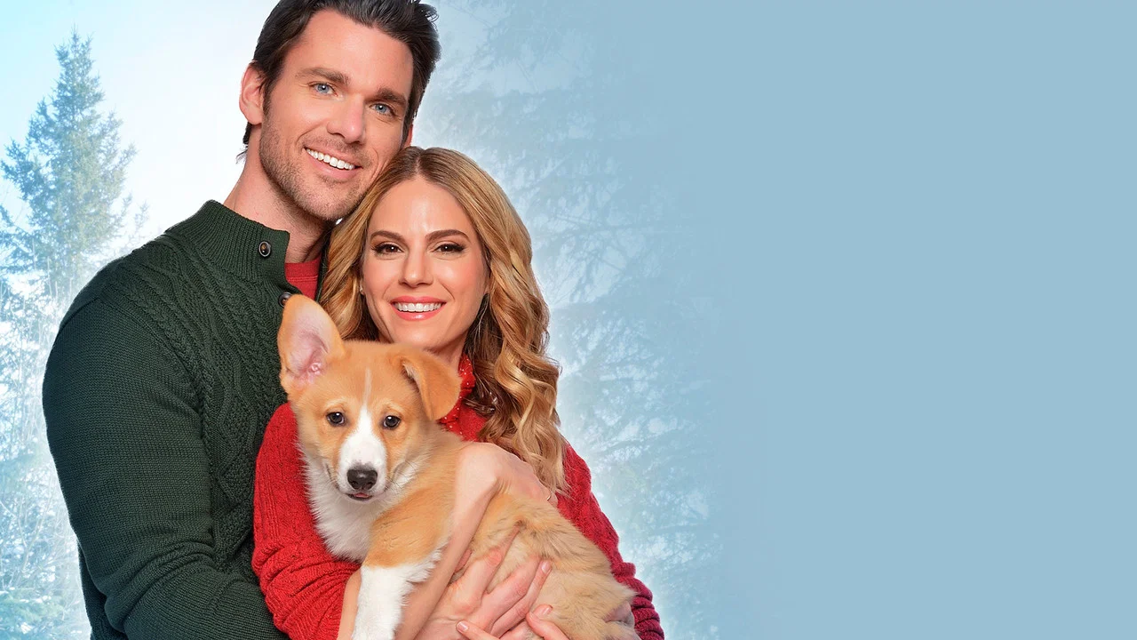 A Very Corgi Christmas - 剧照