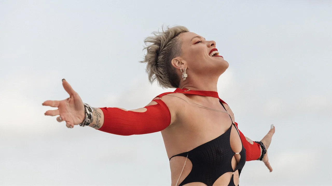 P!NK: Mein Leben in Songs - 剧照