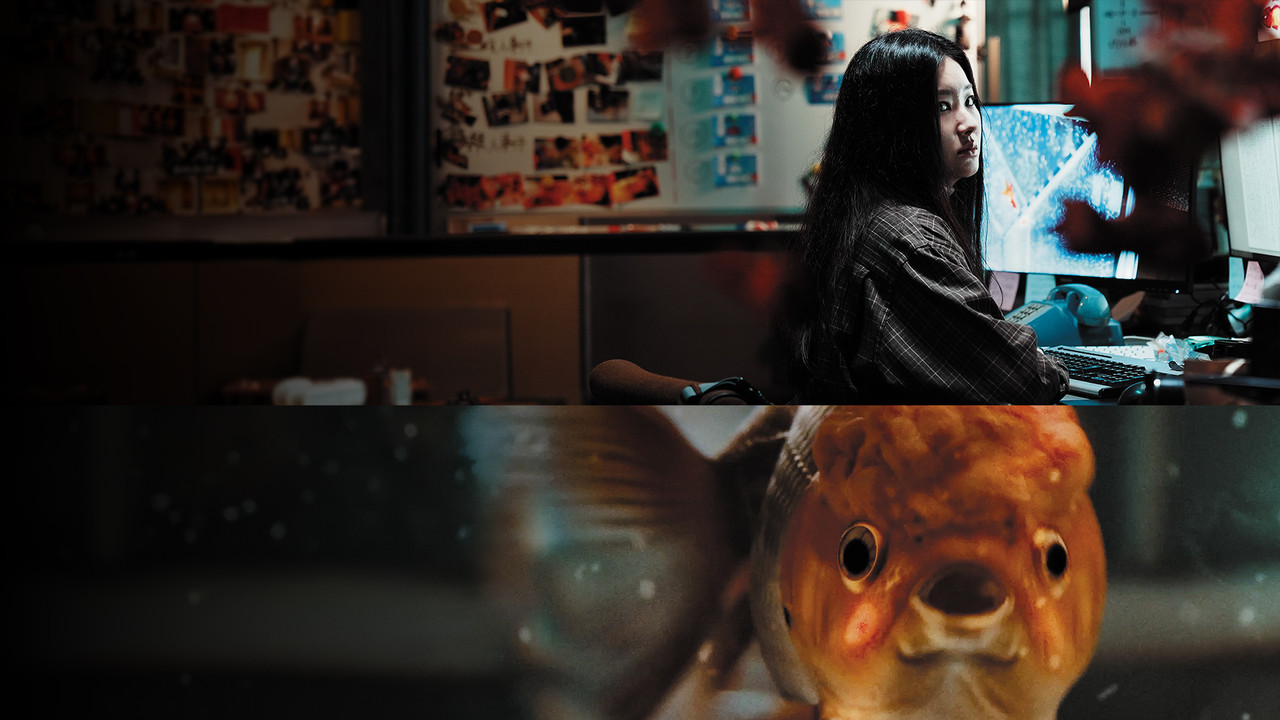 THE KILLER GOLDFISH - 剧照