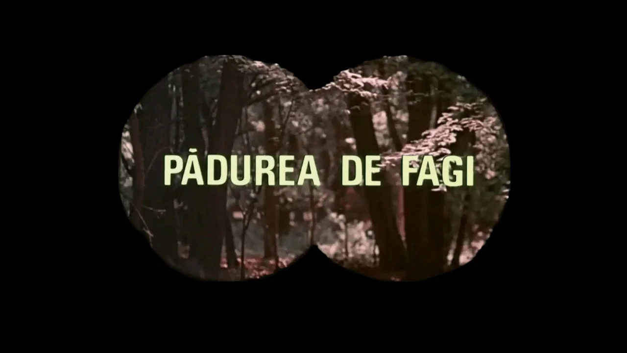 Pădurea de fagi - 剧照