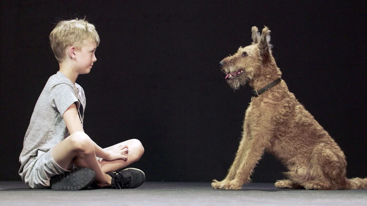 Hund und Mensch: Das Geheimnis einer Freundschaft - 剧照