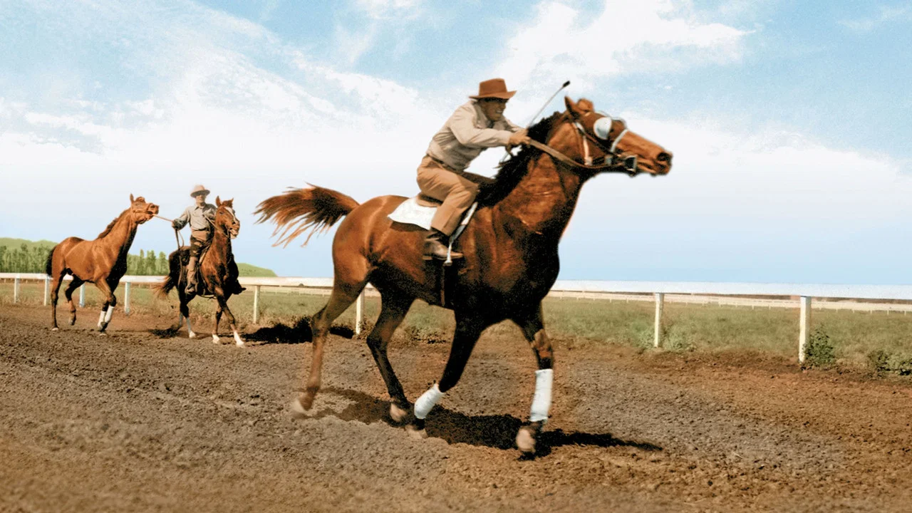 The Story of Seabiscuit - 剧照