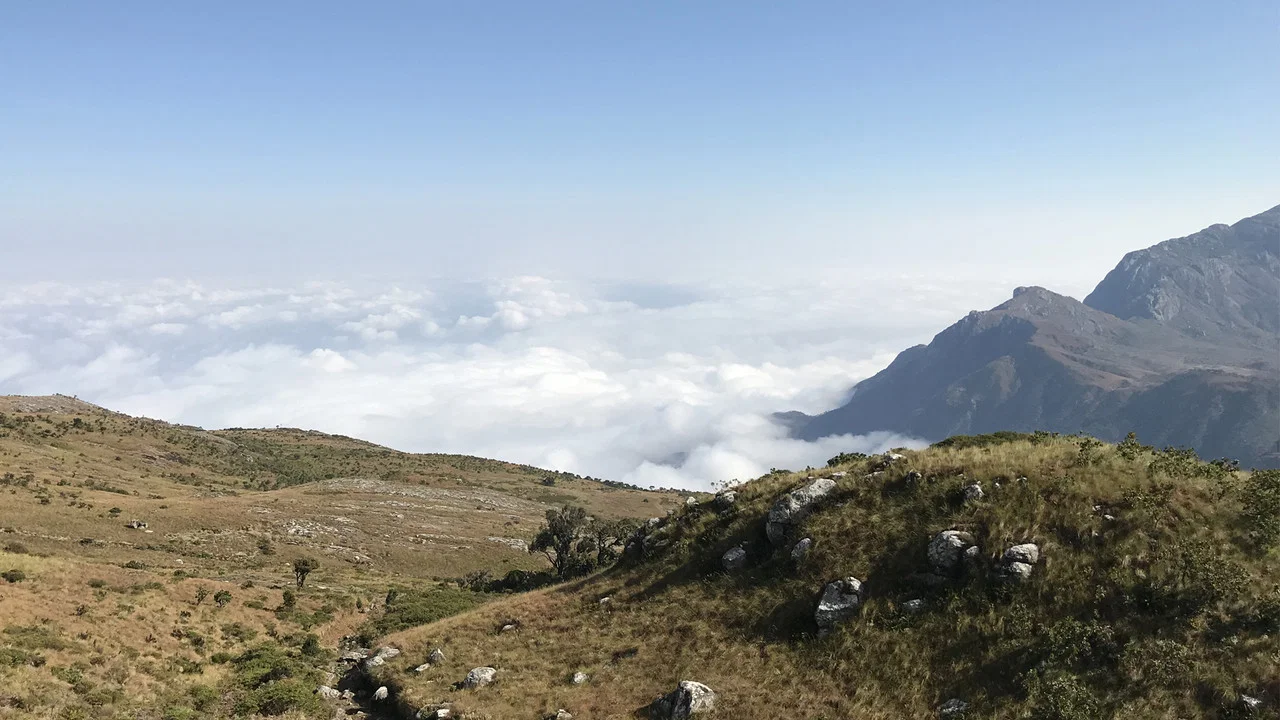 Malawi - 剧照