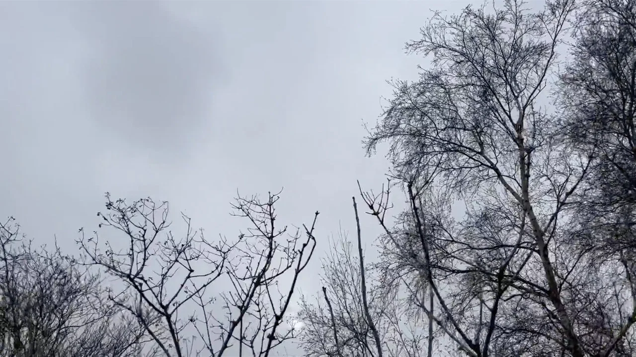 Middelpolder - 剧照