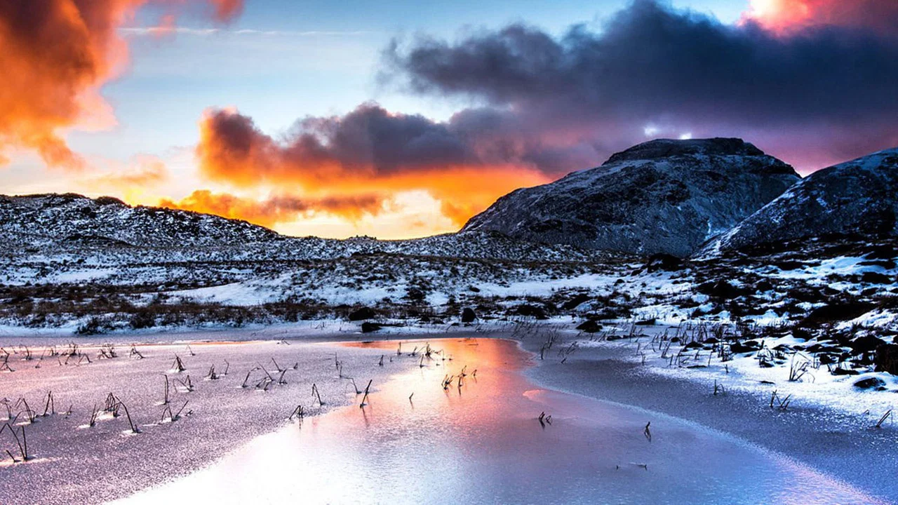The Lake District: A Wild Year - 剧照