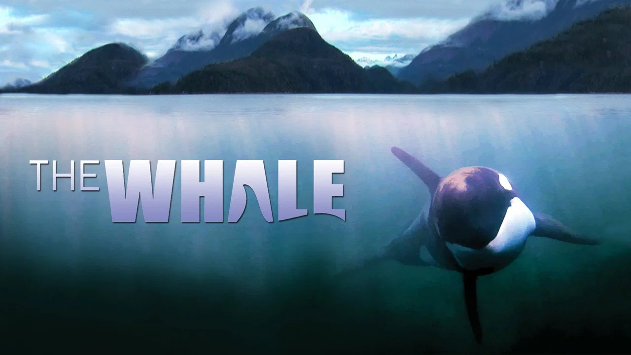 The Whale - 剧照